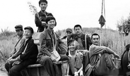 知青下乡的电视剧,知青岁月的青春之歌