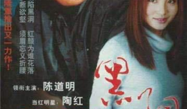 十大反贪电视剧,正义之光，反腐风云录